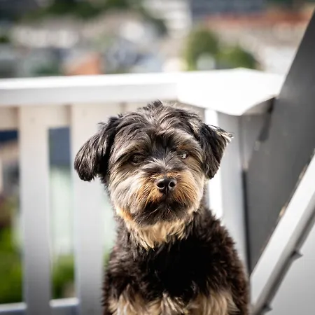 Privat Rom I Koselig Bergenshus Privat bolig *